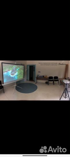 Аренда проектора и экрана