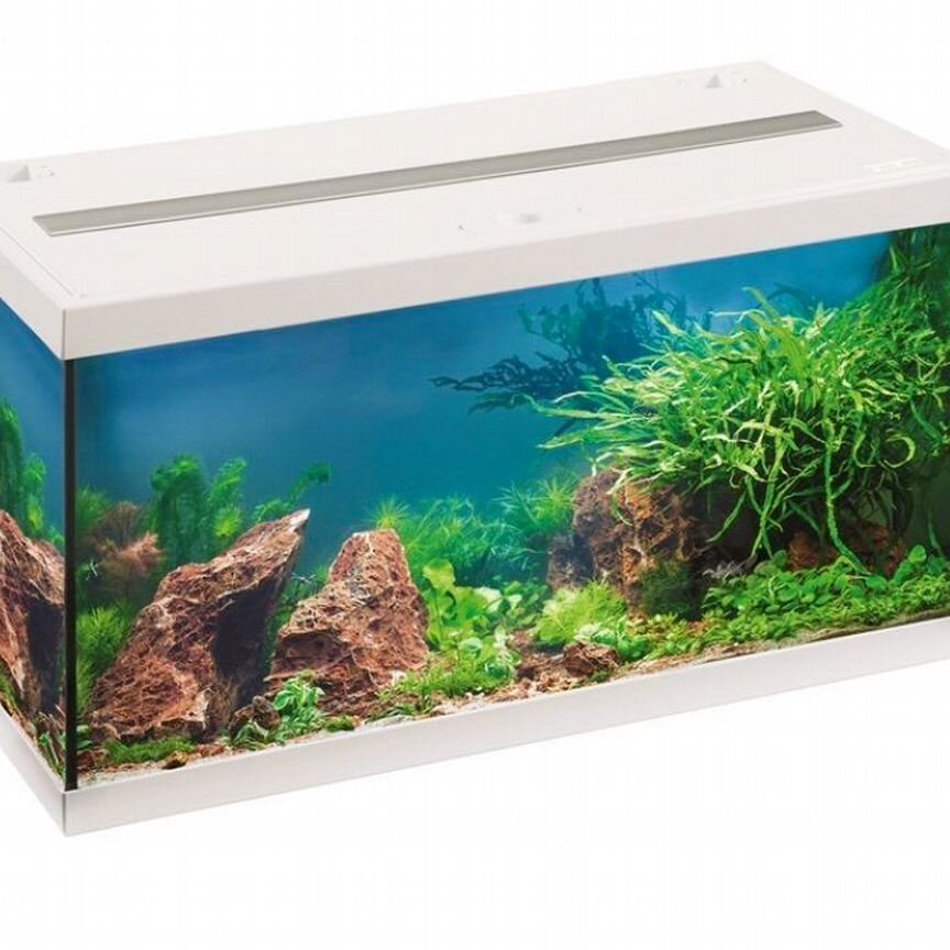 Аквариум eheim aquastar 54 LED