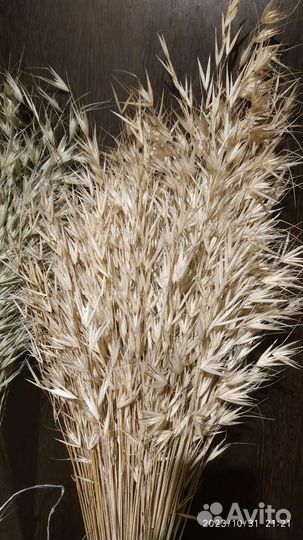 Пшеница безостая, пшеница с длинными остьями