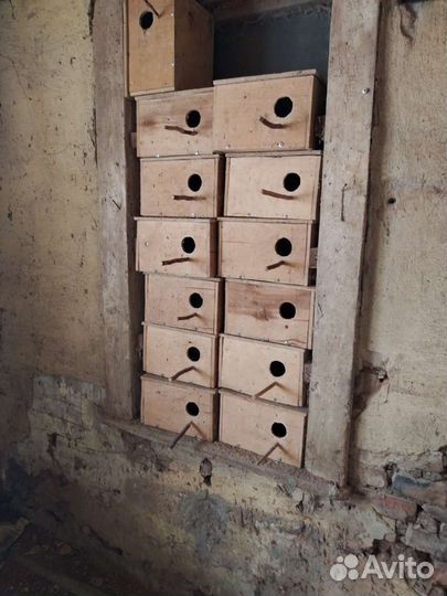 Скворечник