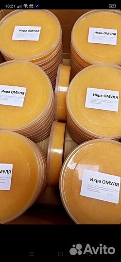 Северная рыба