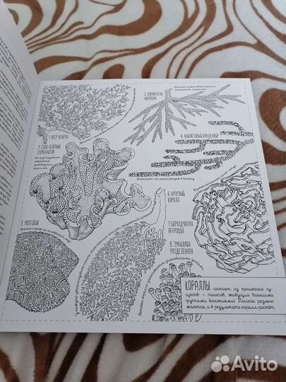 Постеры-раскраски Создания большие и маленькие