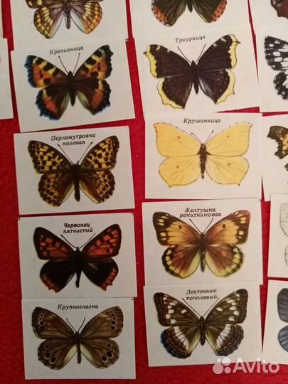 Спичечные этикетки. Бабочки