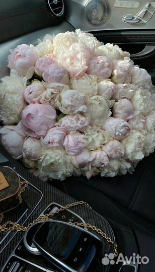 Цветы пионы