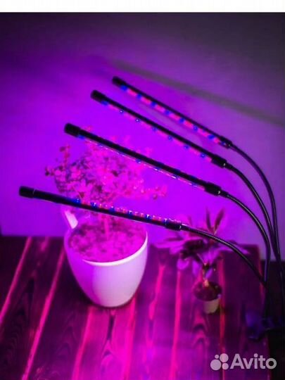 Фитолампа для растений