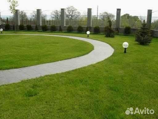 Рулонный газон, укладка, продажа