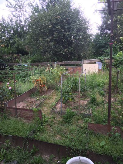 Участок 8 сот. (ИЖС)