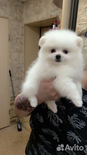 Уфа Девочка Блондинка