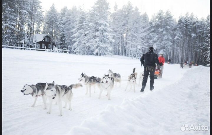 Вся Карелия за 3 дня из Москвы