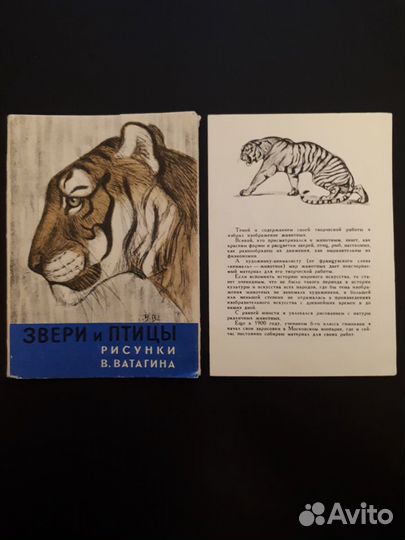 Подборка рисунков худ. В. Ватагина - редкость