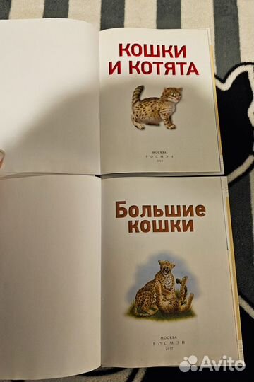 Энциклопедии детские книги