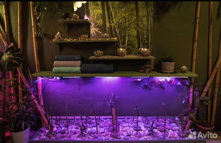 Массаж. Наставник по массажу