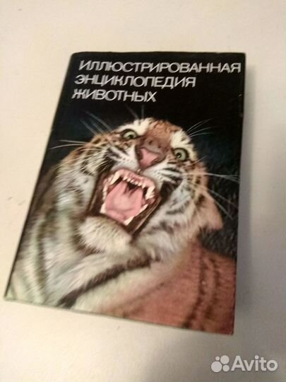 Книги о лошадях и энциклопедия животных