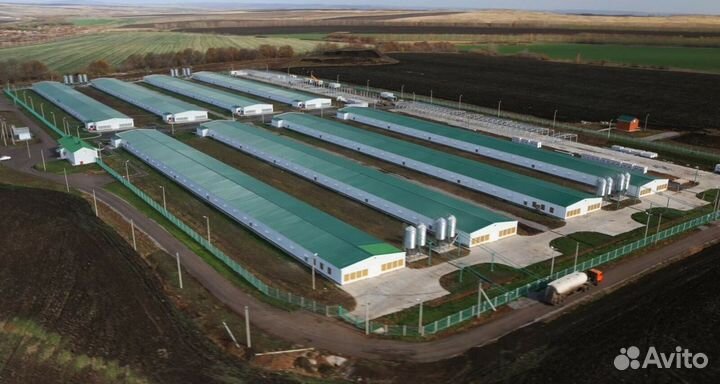 Колбаса из мяса индейки Индюшкин Халяль