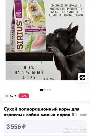 Корм для собак