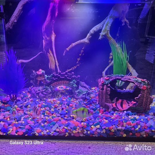 Аквариум с рыбками