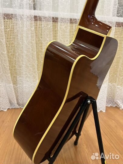 Акустическая гитара Euphony EW-201CN