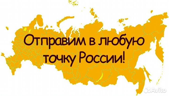 Толкатель С ручкой В сборе robot coupe