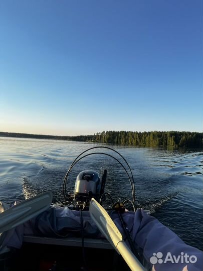 Лодочный мотор