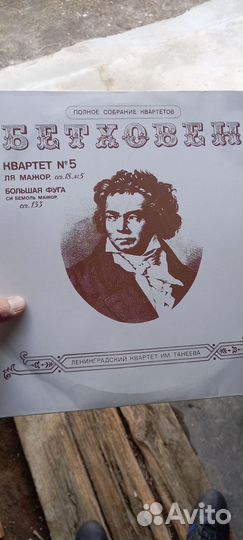 Вниловиеь платинки