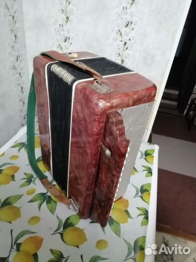 Гармонь беларусь