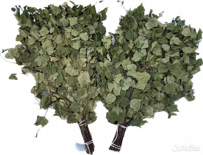 Веники сбор 2023