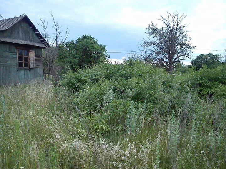 Участок 5,2 сот. (СНТ, ДНП)