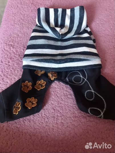 Одежда для маленьких собак