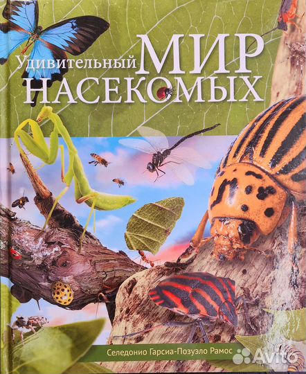 Детские книги Мир насекомых-Удивительные миграции