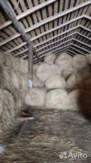 Сено и салома