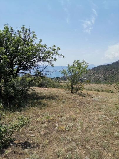 Участок 5 сот. (ИЖС)