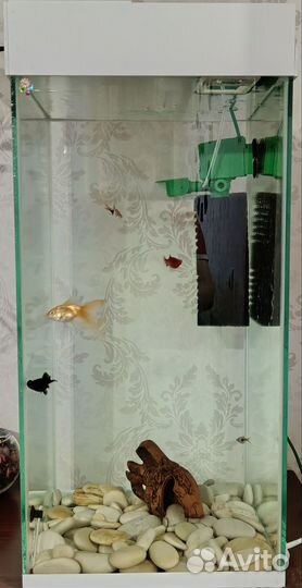 Аквариум 80л