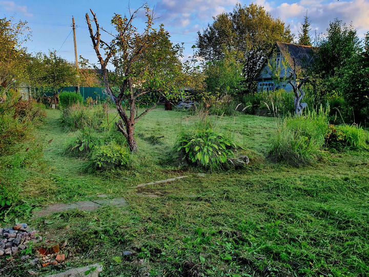 Участок 4 сот. (СНТ, ДНП)