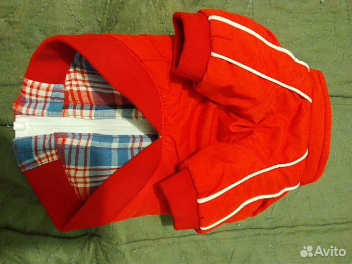 Курточка для животных