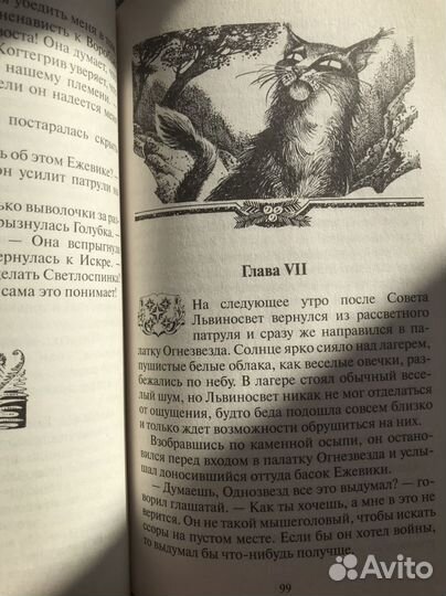 Книга «Коты-Воители»: «Забытый воин»