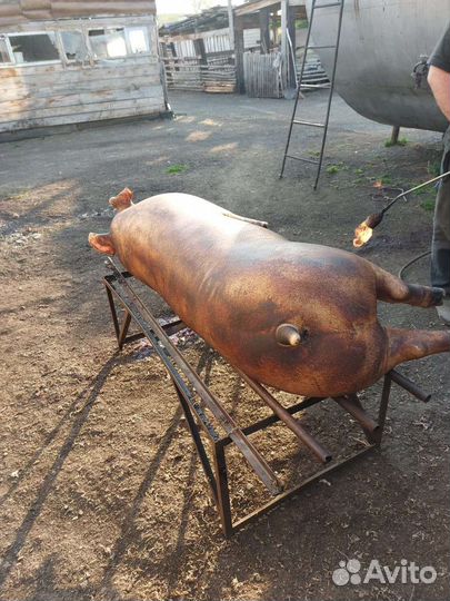 Мясо свинина домашняя