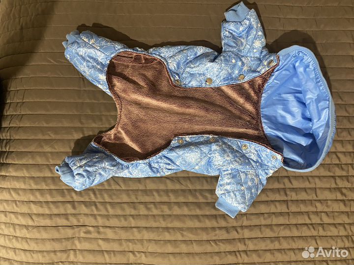 Одежда для собак