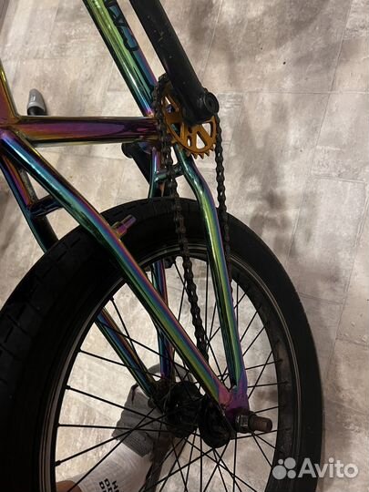 Bmx horstcamorra