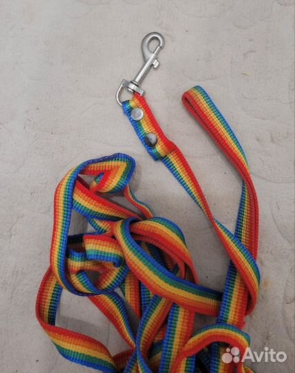 Комплект поводок и шлейка