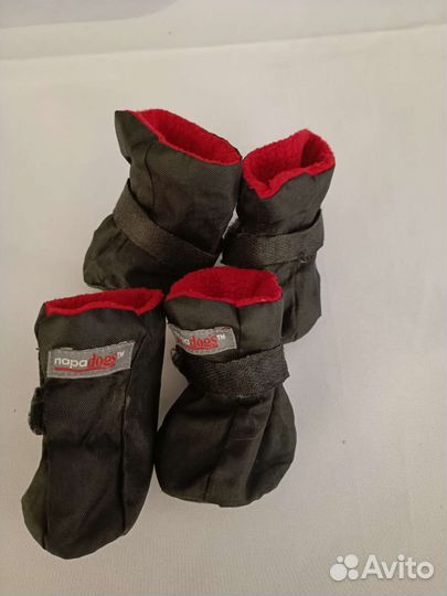 Одежда для средних собак