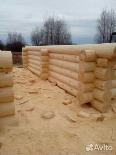 Срубы домов и бань из бревна от производителя