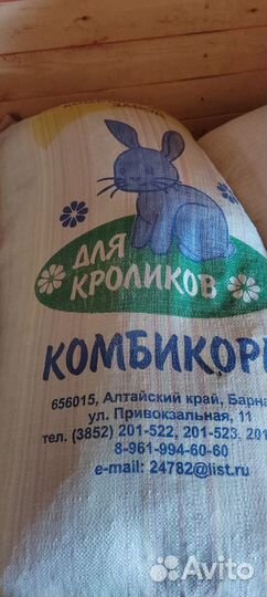 Ячмень