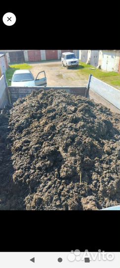 Навоз коровий