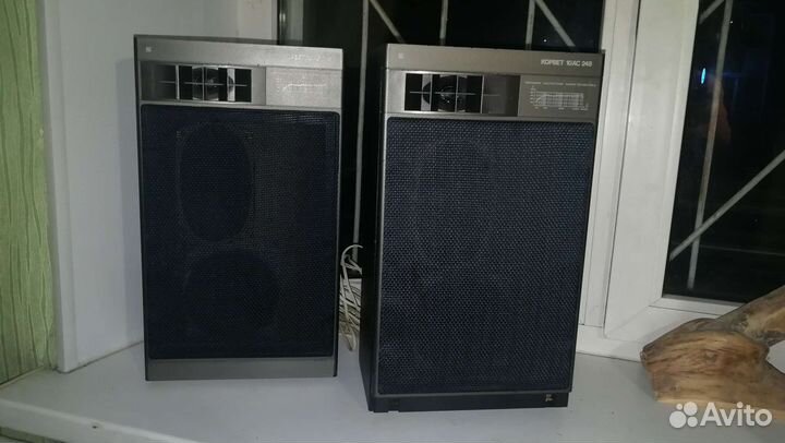 Колонки Корвет 10ас-248