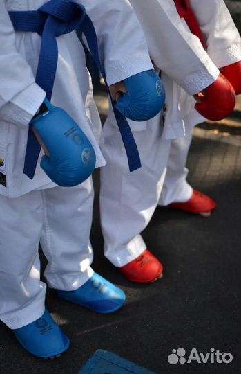 Защита ног (футы) для карате WKF