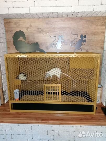 Клетка для крыс