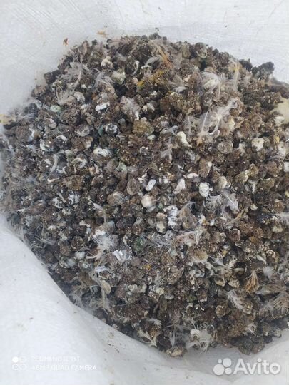 Перепелиный помет. Супер удобрение