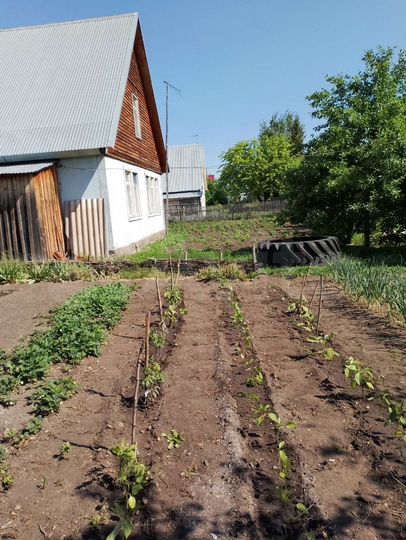 Дом 100 м² на участке 12 сот.