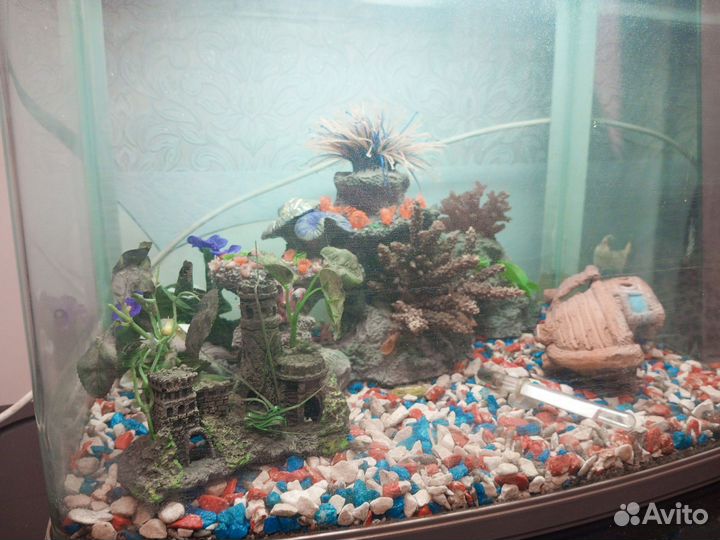 Аквариум