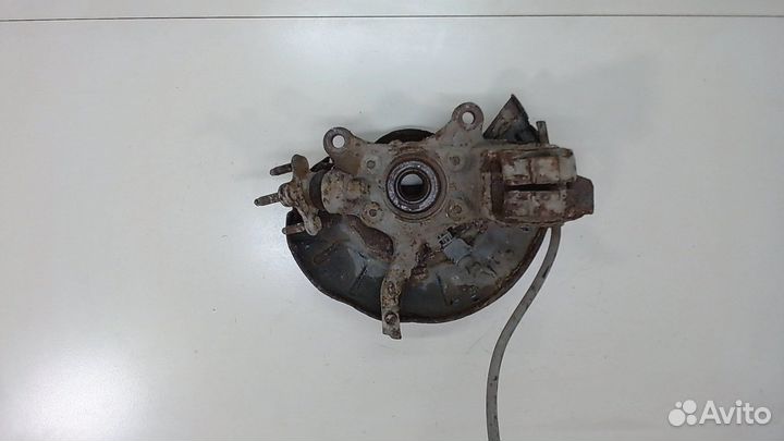 Ступица (кулак, цапфа) Volkswagen Tiguan, 2008